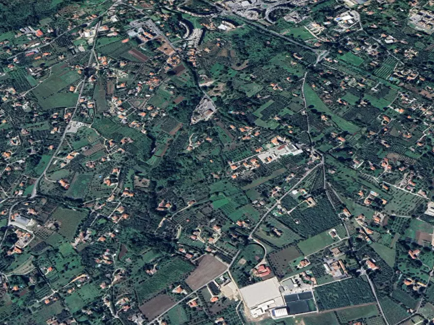 Immagine 6 di Terreno agricolo in vendita  in Via della Pallade a Velletri