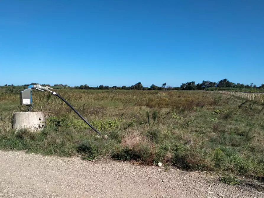 Immagine 1 di Terreno agricolo in vendita  in Contrada Ramitelli a Campomarino