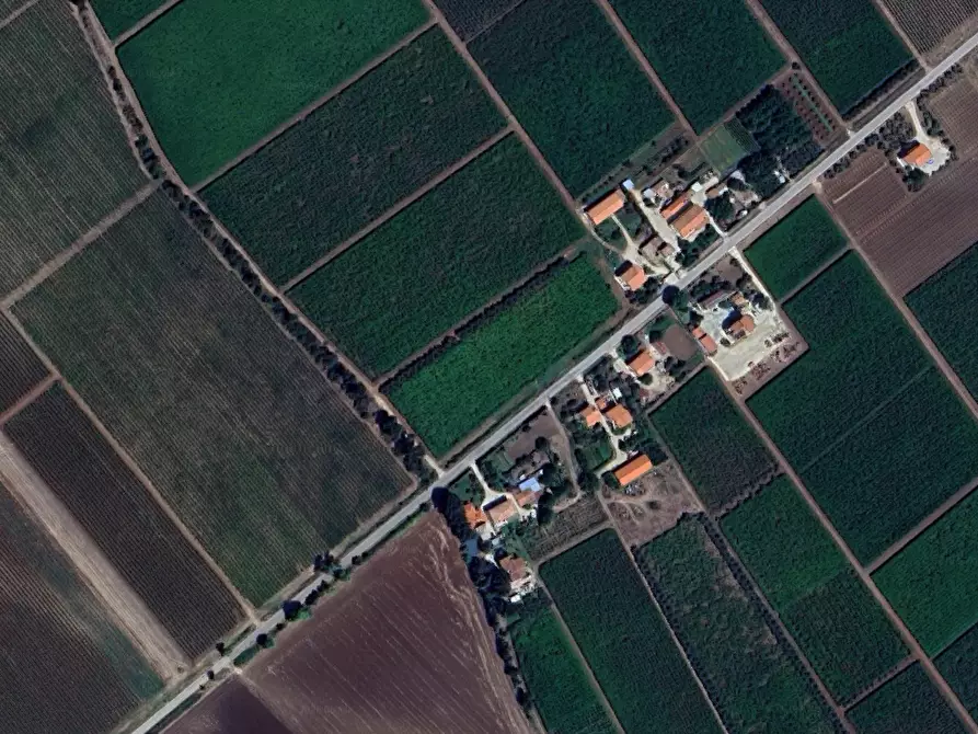 Immagine 7 di Terreno agricolo in vendita  in Contrada Ramitelli a Campomarino