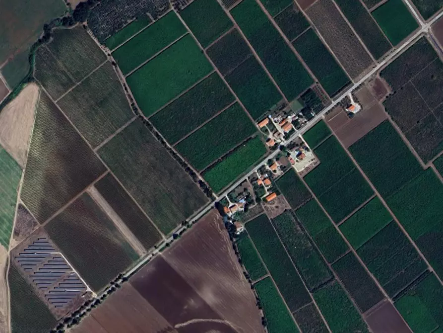 Immagine 8 di Terreno agricolo in vendita  in Contrada Ramitelli a Campomarino