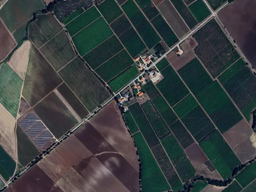 Immagine 9 di Terreno agricolo in vendita  in Contrada Ramitelli a Campomarino