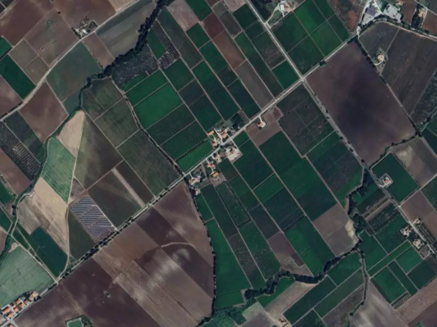 Immagine 10 di Terreno agricolo in vendita  in Contrada Ramitelli a Campomarino