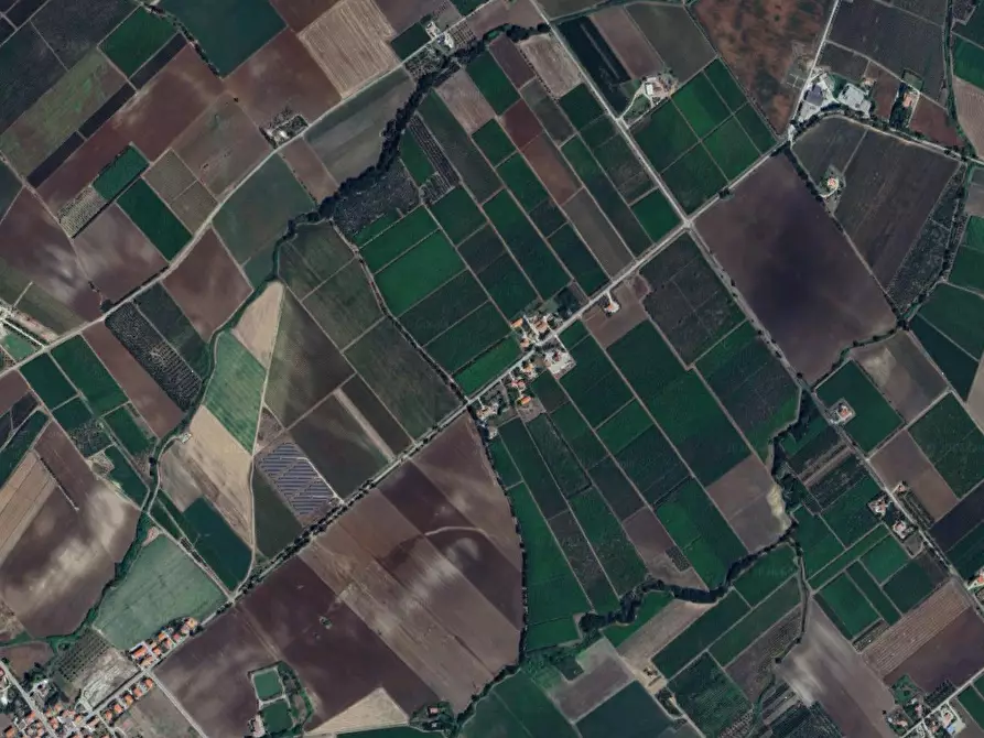 Immagine 11 di Terreno agricolo in vendita  in Contrada Ramitelli a Campomarino