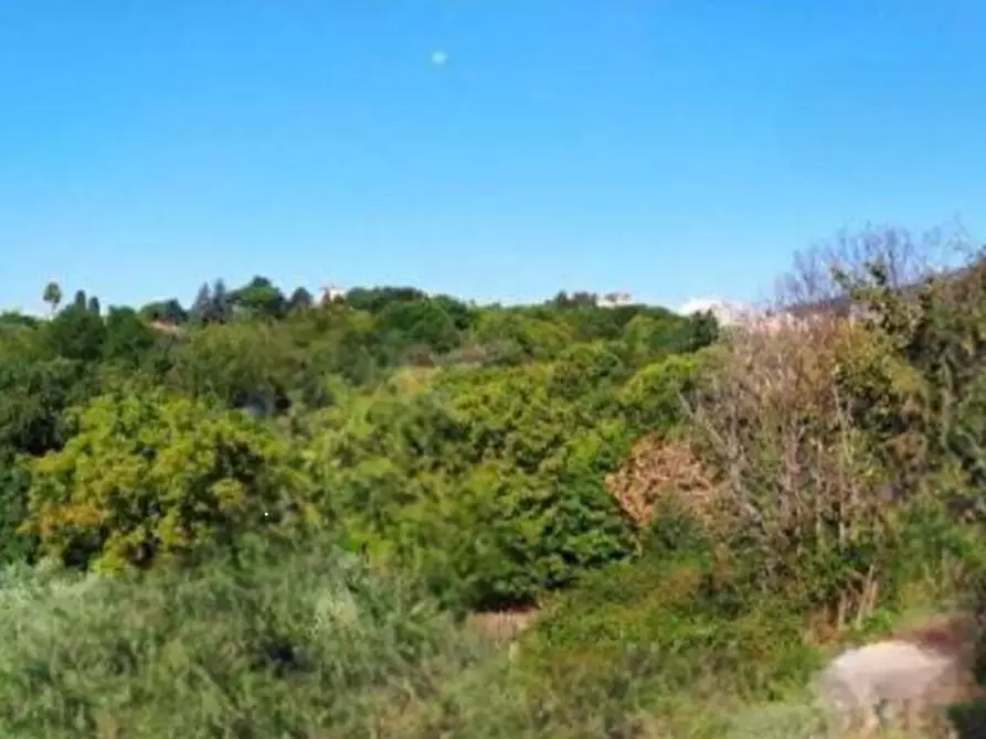 Immagine 2 di Appartamento in vendita  in Via della Pallade a Velletri