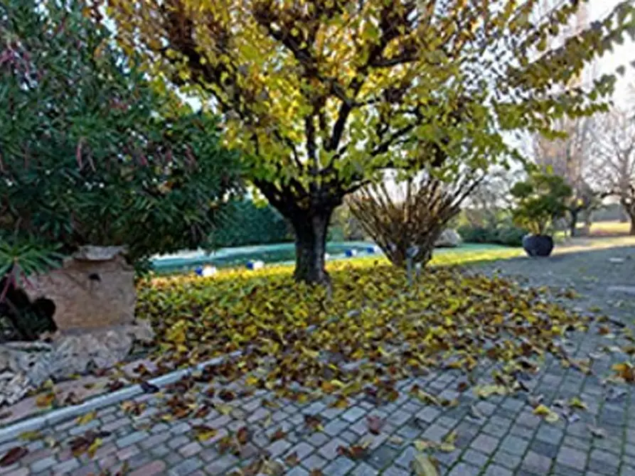 Immagine 4 di Villa in vendita  in Strada Barchetta a Modena