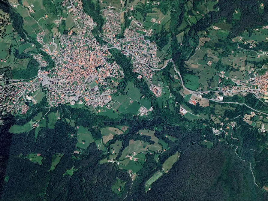 Immagine 9 di Terreno agricolo in vendita  in località Bernina a Borno
