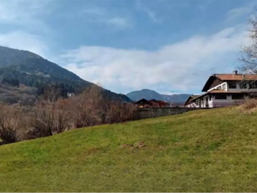 Immagine 1 di Terreno agricolo in vendita  in località Bernina a Borno