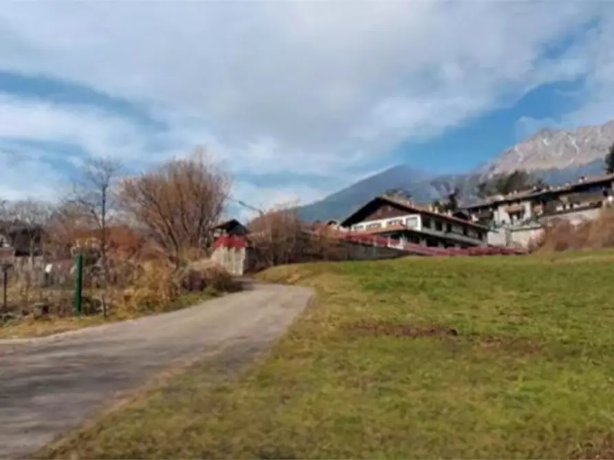Immagine 2 di Terreno agricolo in vendita  in località Bernina a Borno