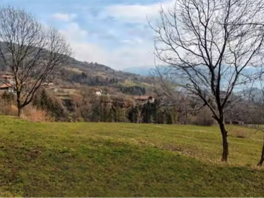 Immagine 4 di Terreno agricolo in vendita  in località Bernina a Borno