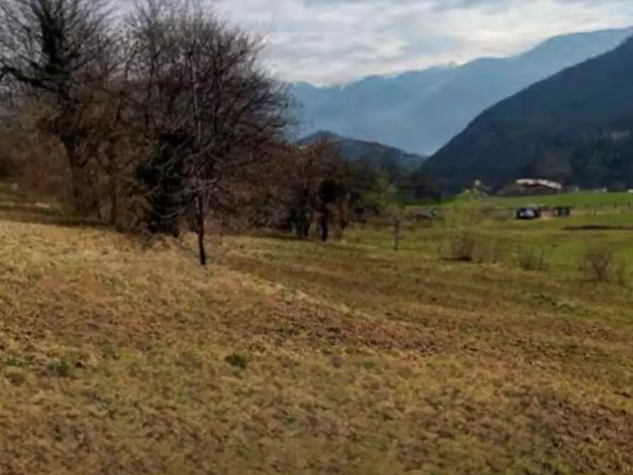Immagine 5 di Terreno agricolo in vendita  in località Bernina a Borno