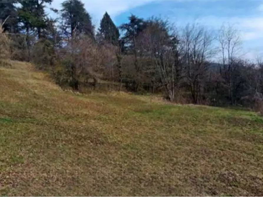 Immagine 6 di Terreno agricolo in vendita  in località Bernina a Borno