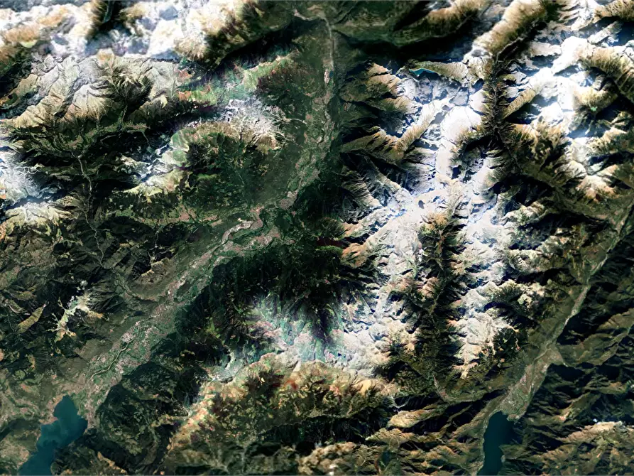 Immagine 11 di Terreno agricolo in vendita  in località Bernina a Borno