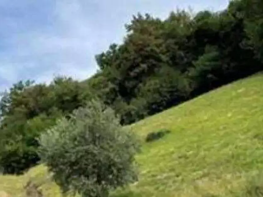 Immagine 2 di Terreno agricolo in vendita  in Via Marchetti a Marostica