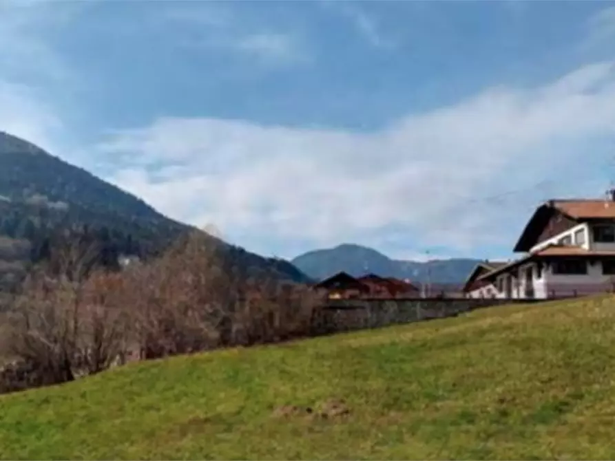 Immagine 1 di Terreno agricolo in vendita  in località Bernina a Borno