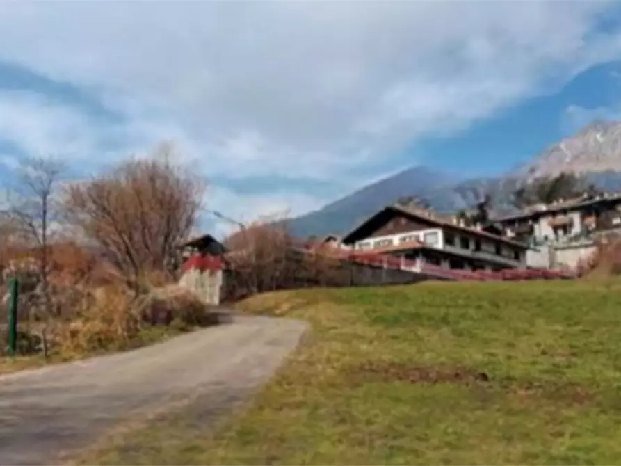 Immagine 2 di Terreno agricolo in vendita  in località Bernina a Borno