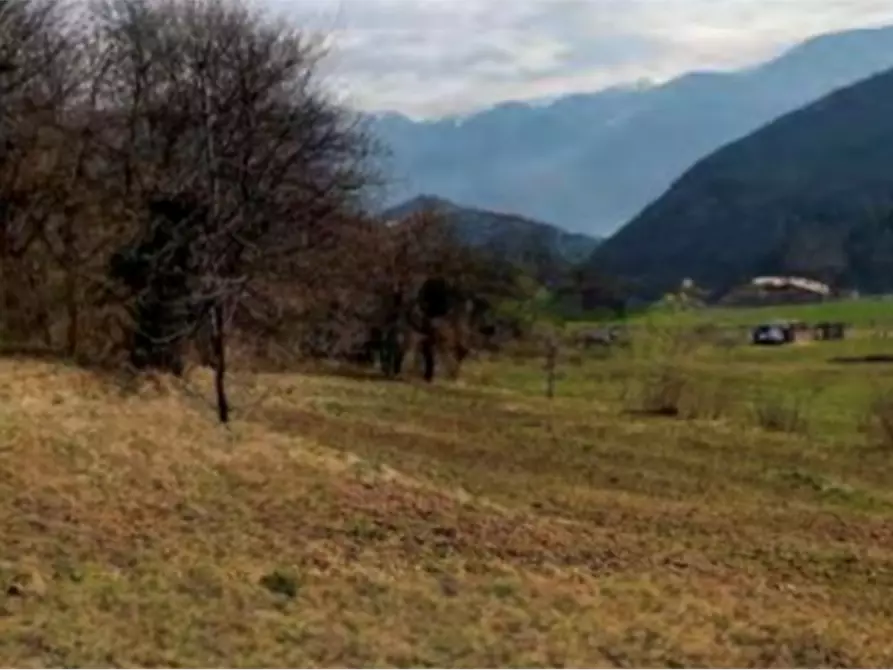 Immagine 5 di Terreno agricolo in vendita  in località Bernina a Borno