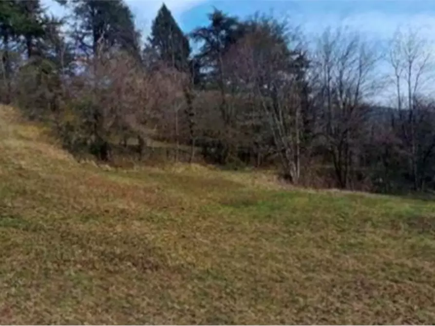 Immagine 6 di Terreno agricolo in vendita  in località Bernina a Borno