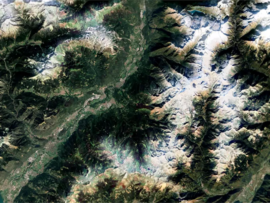 Immagine 11 di Terreno agricolo in vendita  in località Bernina a Borno