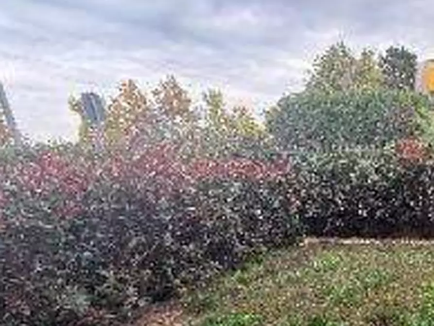Immagine 4 di Appartamento in vendita  in via Alberto da Giussano a Desio