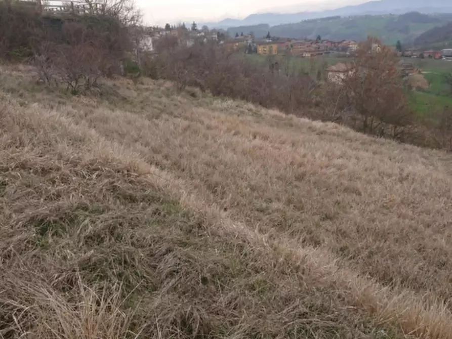 Immagine 10 di Terreno agricolo in vendita  in Via Redipuglia a Serramazzoni