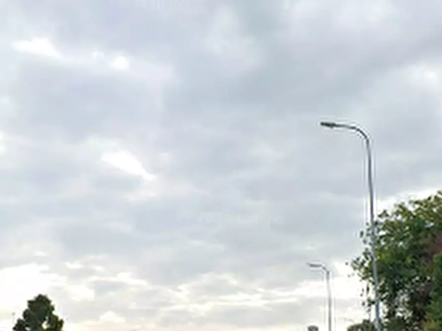 Immagine 5 di Capannone industriale in vendita  in Viale Trieste a Sant'angelo Lodigiano