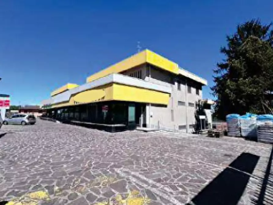 Immagine 1 di Capannone industriale in vendita  in Viale Trieste a Sant'angelo Lodigiano