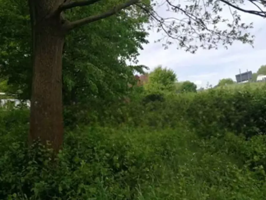 Immagine 2 di Terreno agricolo in vendita  in Via Terraglio a Treviso