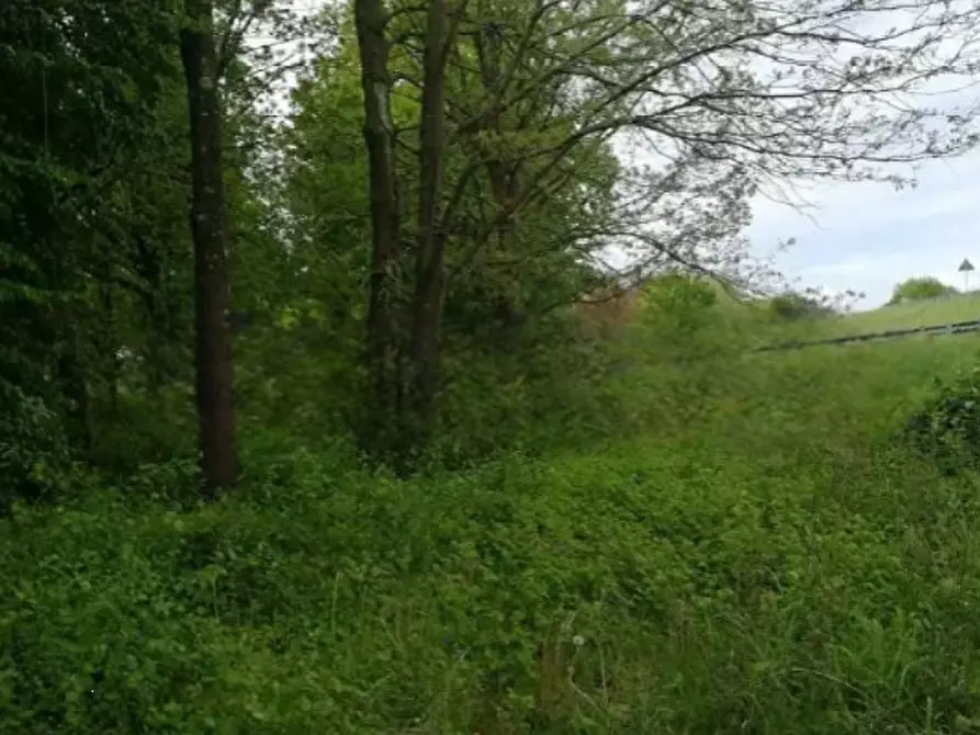 Immagine 4 di Terreno agricolo in vendita  in Via Terraglio a Treviso