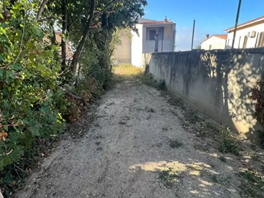 Immagine 2 di Terreno agricolo in vendita  in  Località Cengelle a Soave