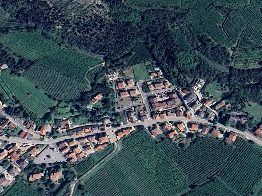 Immagine 6 di Terreno agricolo in vendita  in  Località Cengelle a Soave