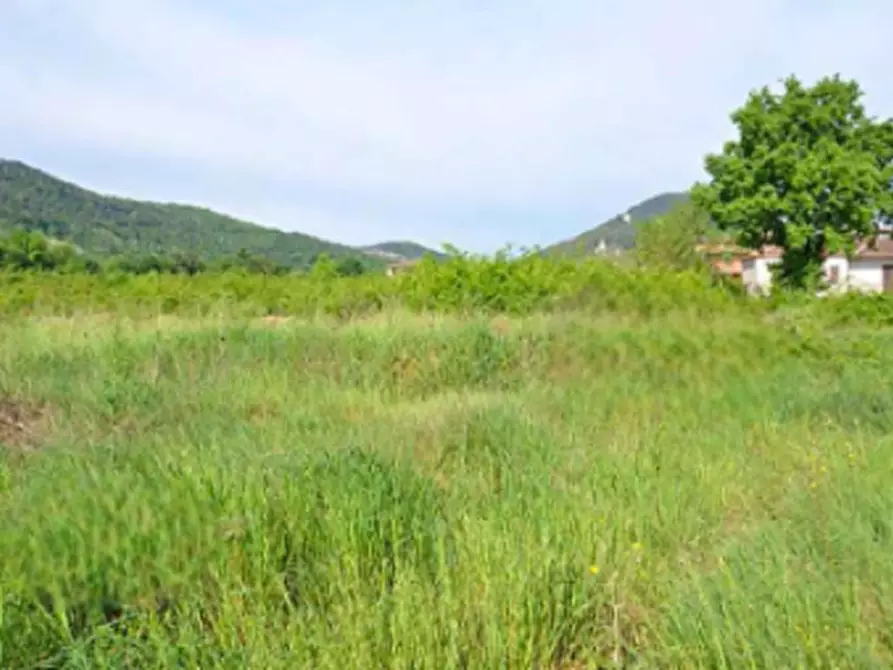 Immagine 2 di Terreno agricolo in vendita  in località Baia E Latina  a Baia E Latina