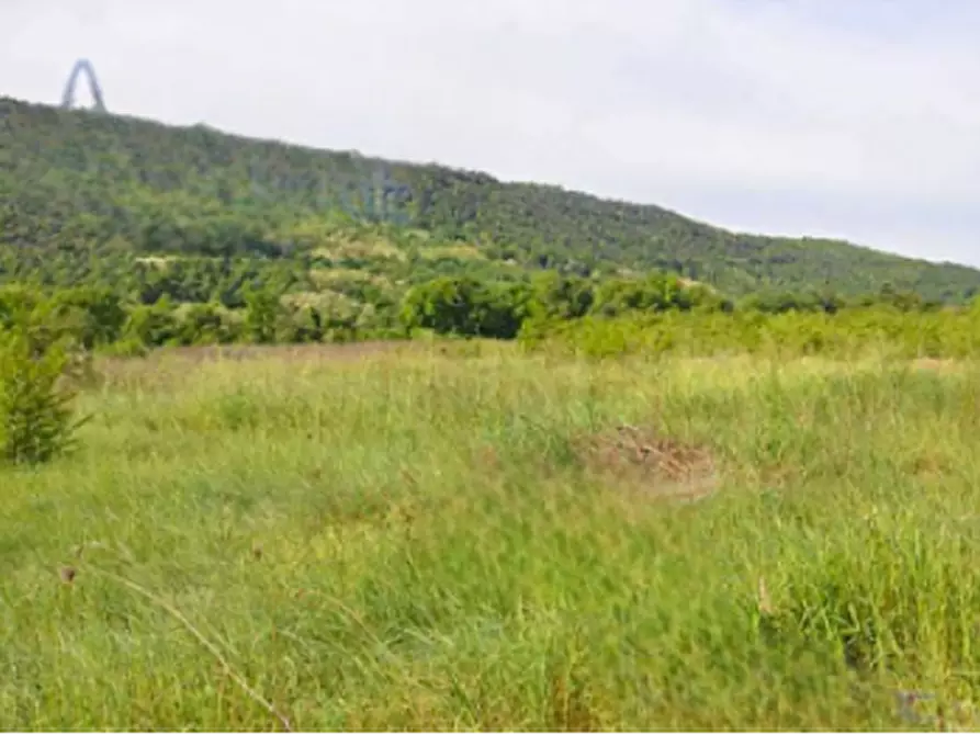 Immagine 3 di Terreno agricolo in vendita  in località Baia E Latina  a Baia E Latina