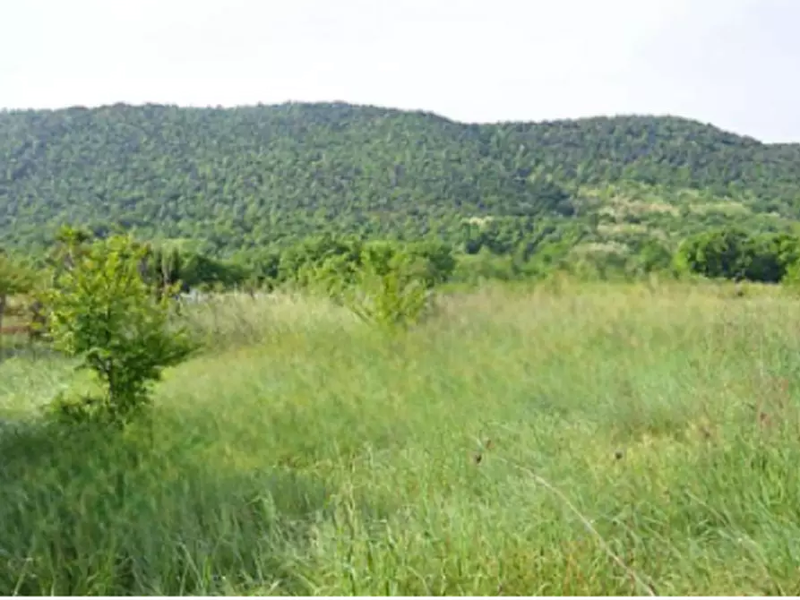 Immagine 4 di Terreno agricolo in vendita  in località Baia E Latina  a Baia E Latina