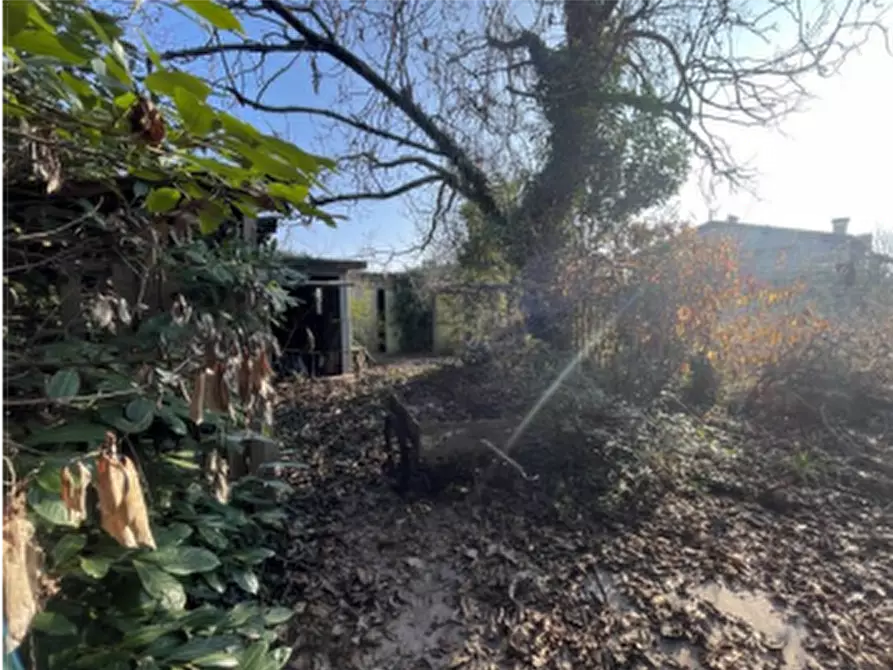 Immagine 2 di Casa indipendente in vendita  in Via Roma a Altivole