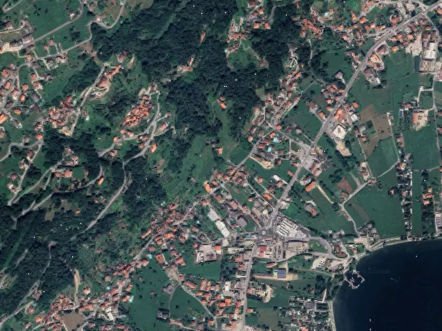 Immagine 15 di Terreno agricolo in vendita  in Località Stazzona a Stazzona