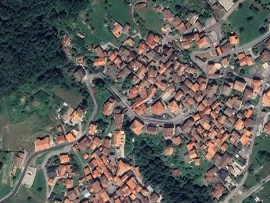 Immagine 1 di Terreno agricolo in vendita  in Località Stazzona a Stazzona