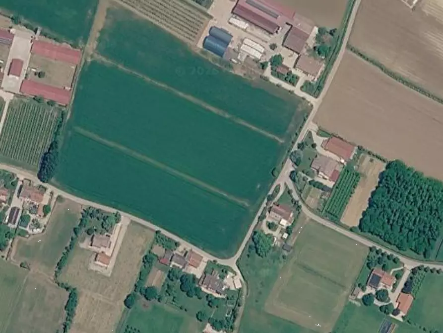 Immagine 19 di Casa bifamiliare in vendita  in Via Colombara a Nanto