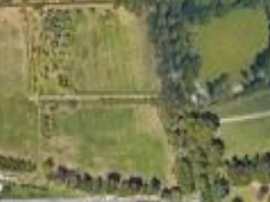 Immagine 8 di Terreno agricolo in vendita  in Via San Pietro a Mussolente