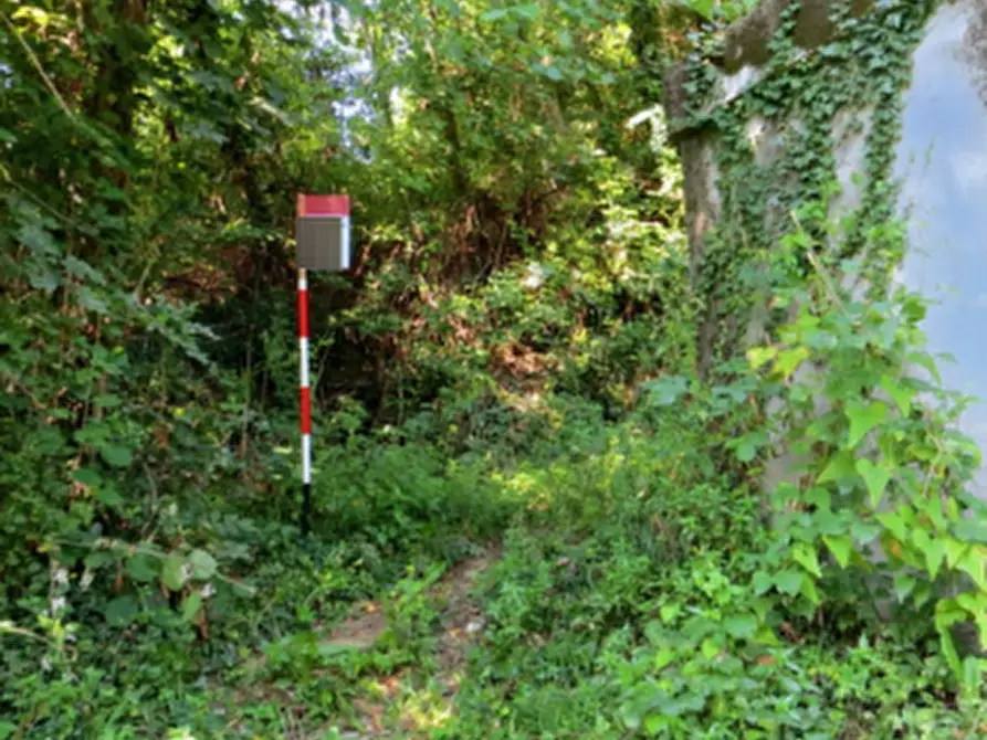 Immagine 2 di Terreno agricolo in vendita  in Frazione Biglio a Valgreghentino