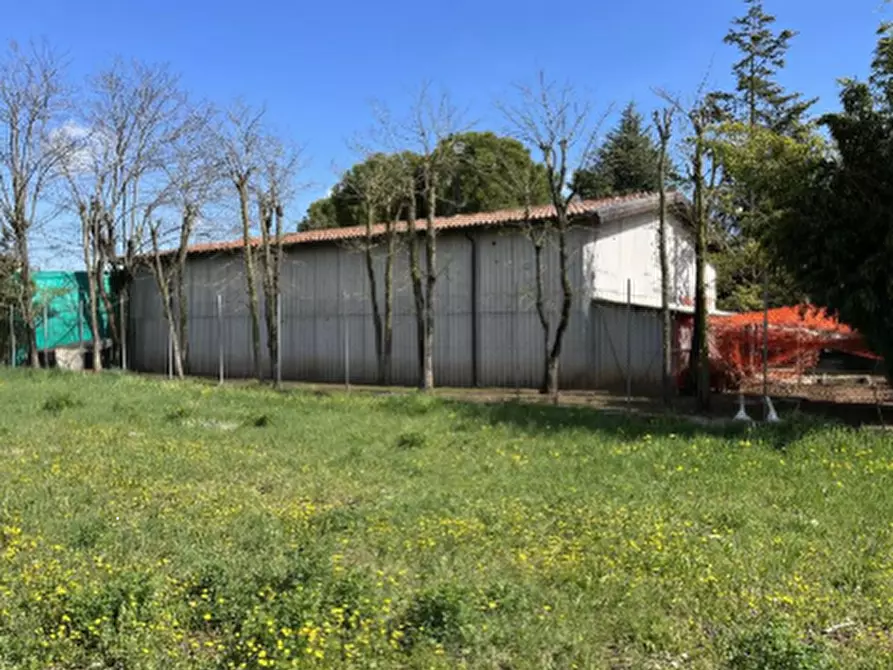 Immagine 2 di Capannone industriale in vendita  in Via Don C. Bellini a Pressana