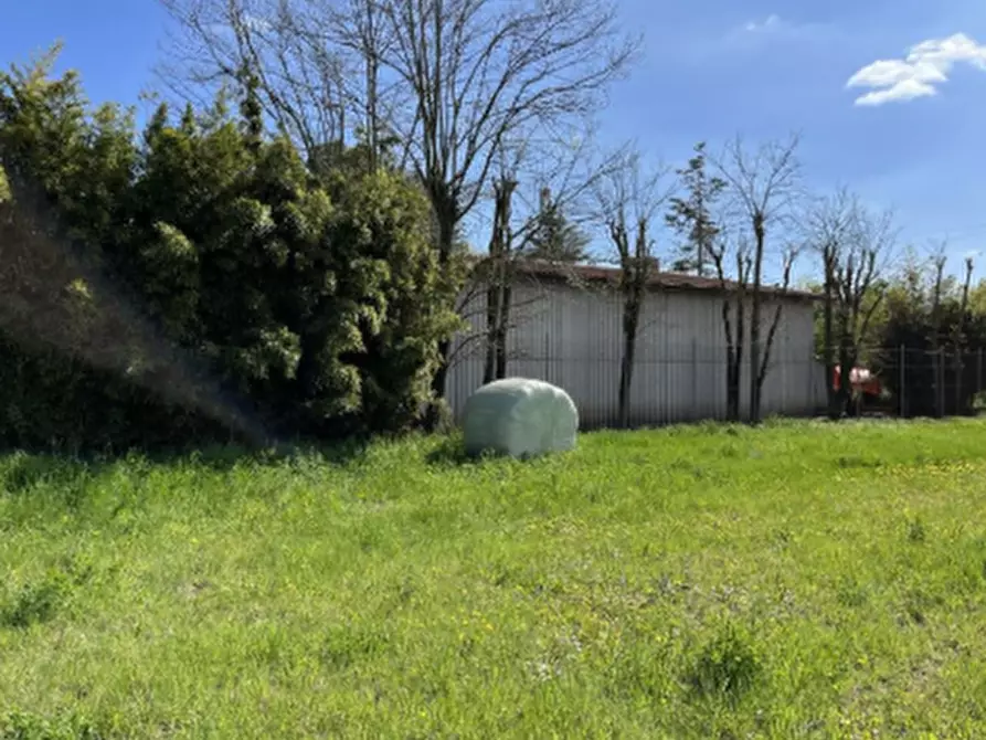 Immagine 3 di Capannone industriale in vendita  in Via Don C. Bellini a Pressana