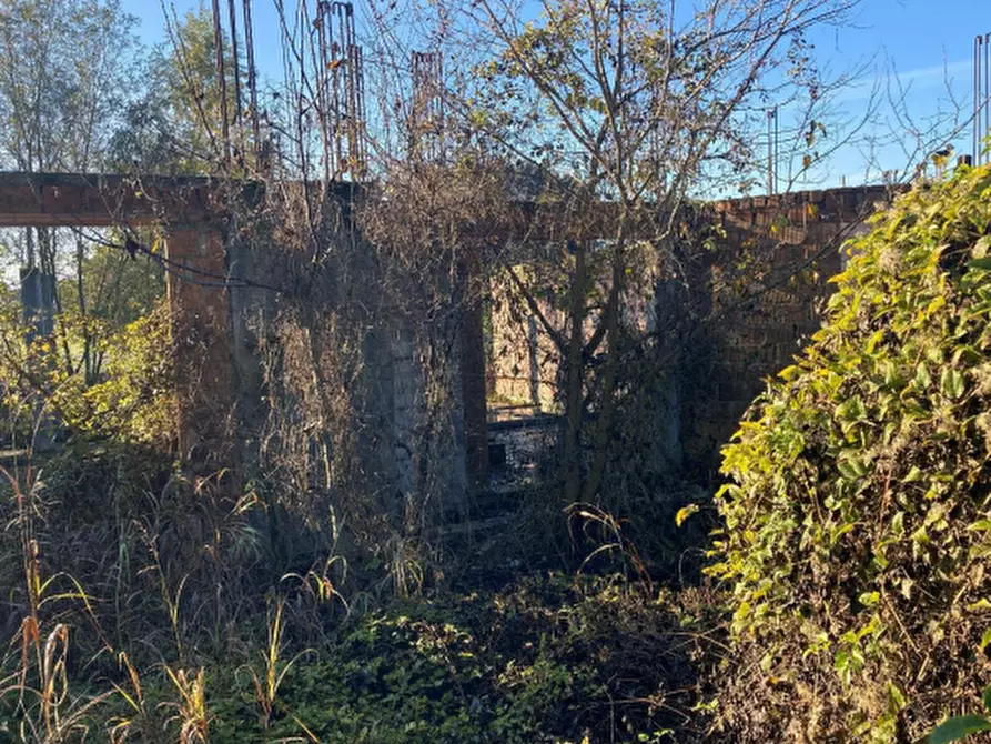 Immagine 3 di Terreno agricolo in vendita  in Via Gianfranco Miglio a Oppeano
