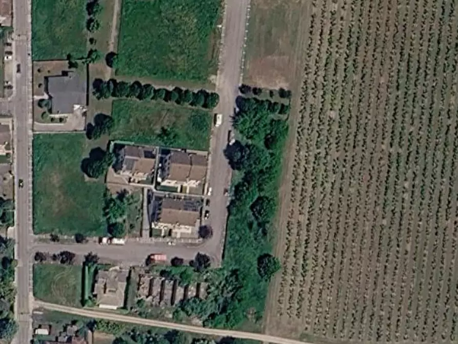 Immagine 7 di Terreno agricolo in vendita  in Via Gianfranco Miglio a Oppeano