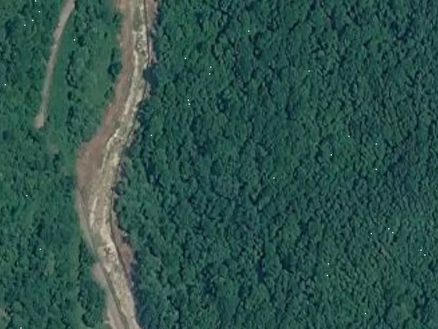 Immagine 7 di Terreno edificabile in vendita  in Via Scattolari a Arsiero