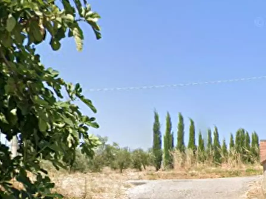 Immagine 10 di Posto auto in vendita  in Via Cristoforo Colombo a San Martino In Pensilis