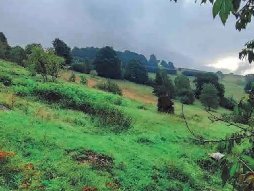 Immagine 1 di Terreno agricolo in vendita  in Via Fratte a Lusiana Conco