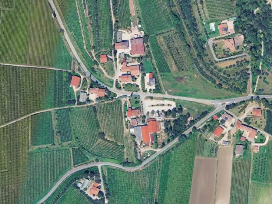 Immagine 4 di Terreno agricolo in vendita  in Via Barbarago a Sona