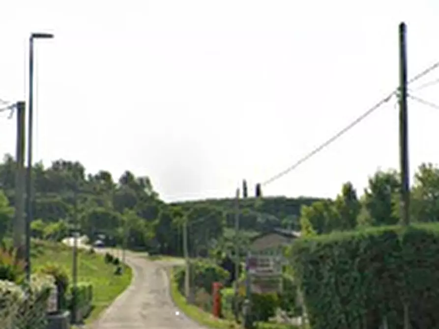 Immagine 7 di Terreno agricolo in vendita  in Via Barbarago a Sona