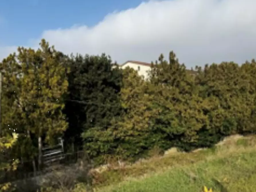 Immagine 6 di Capannone industriale in vendita  in Via Cicogna a Roveredo Di Gua'