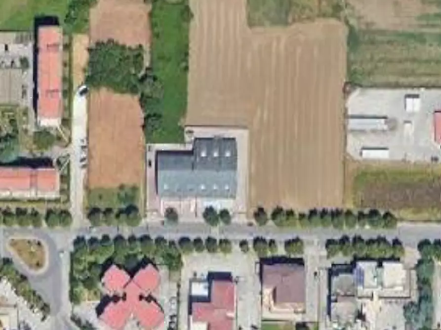 Immagine 7 di Terreno agricolo in vendita  in Contrada Sferracavalli a Venafro